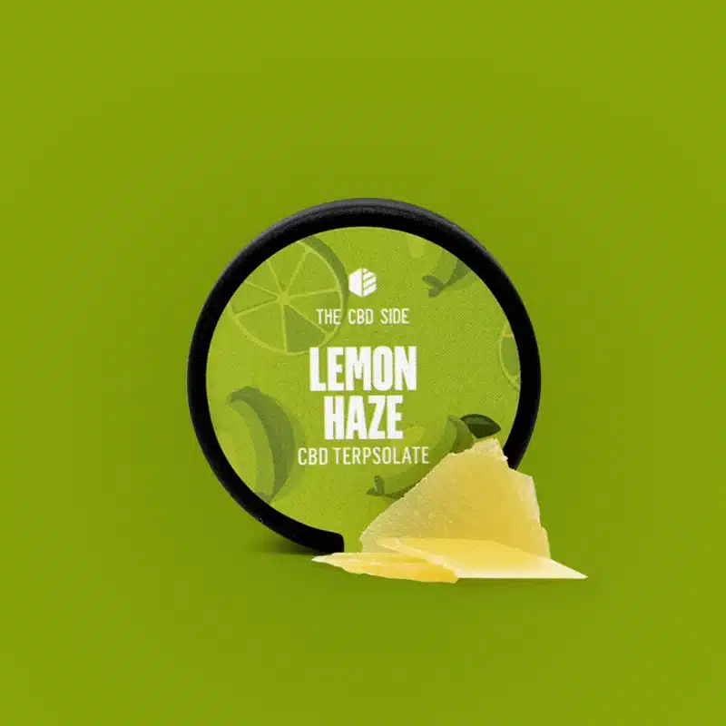 lemon-haze-terpsolate.webp