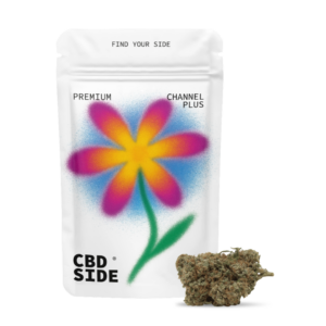 chanel-plus-cbd-indoor