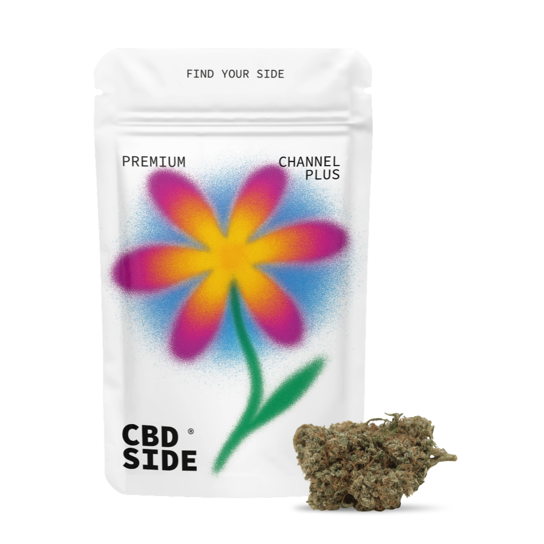 chanel-plus-cbd-indoor