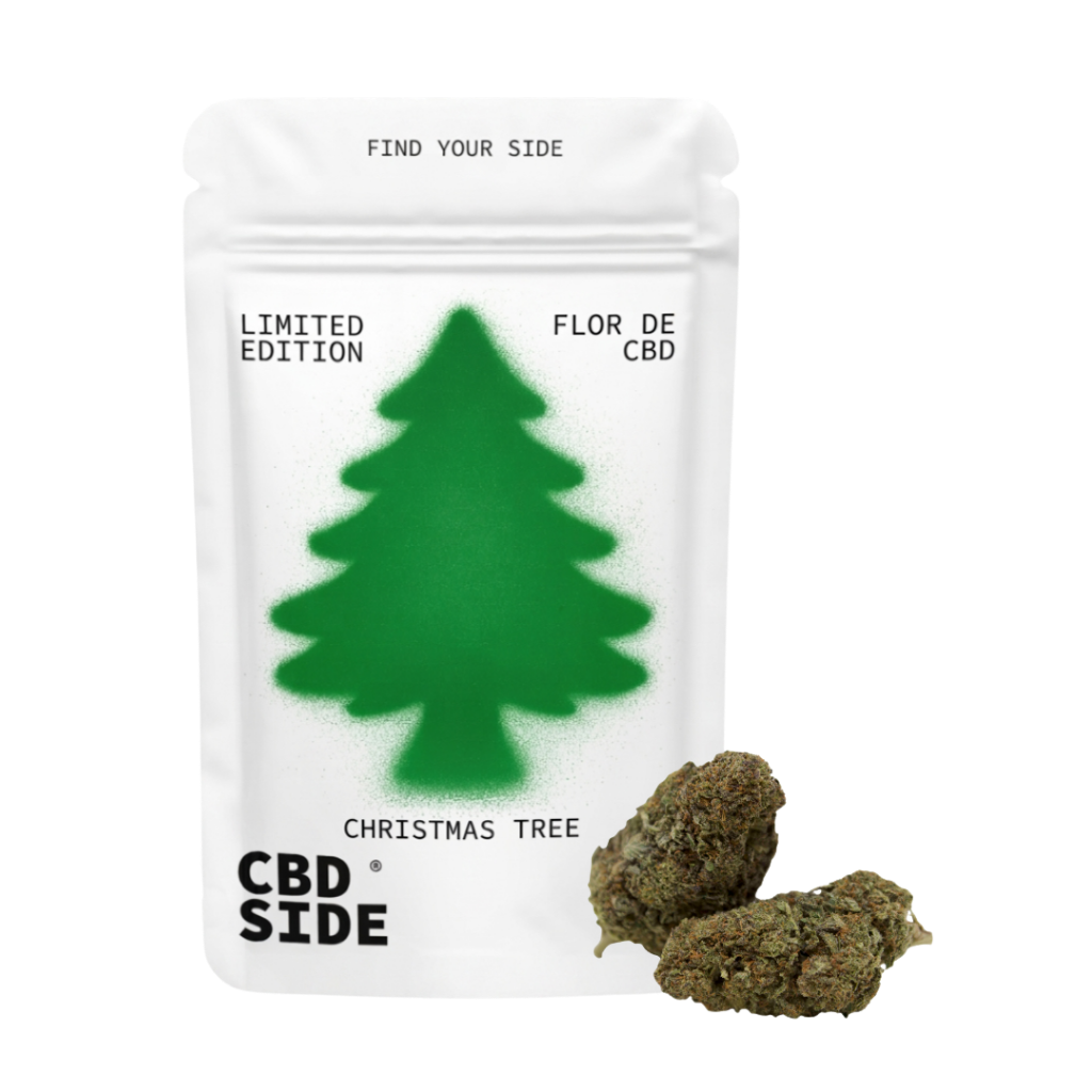 christmas_tree_indoor_flores_cbd