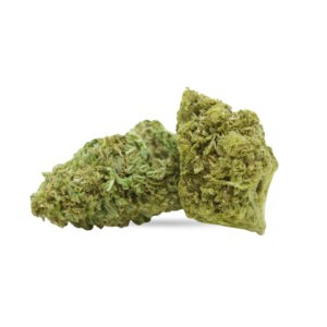 silence-please-flores-cbd-greenhouse