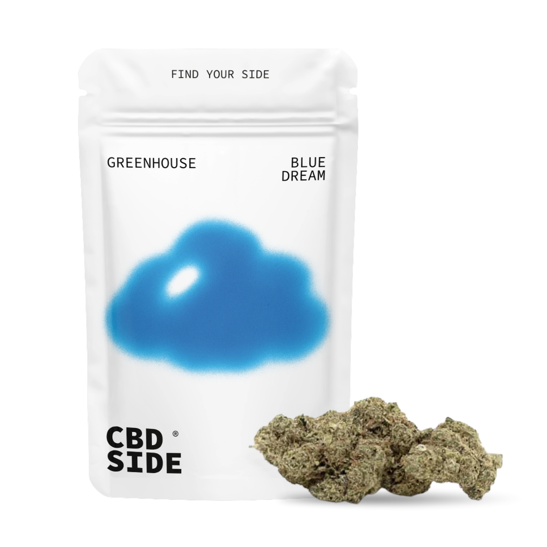 blue-dream-flores-cbd-greenhouse