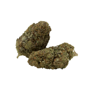 christmas_tree_indoor_flores_cbd