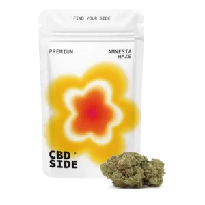 amnesia haze cbd indoor