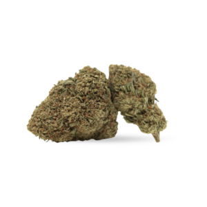peace-mode-cogollo-greenhouse-cbd